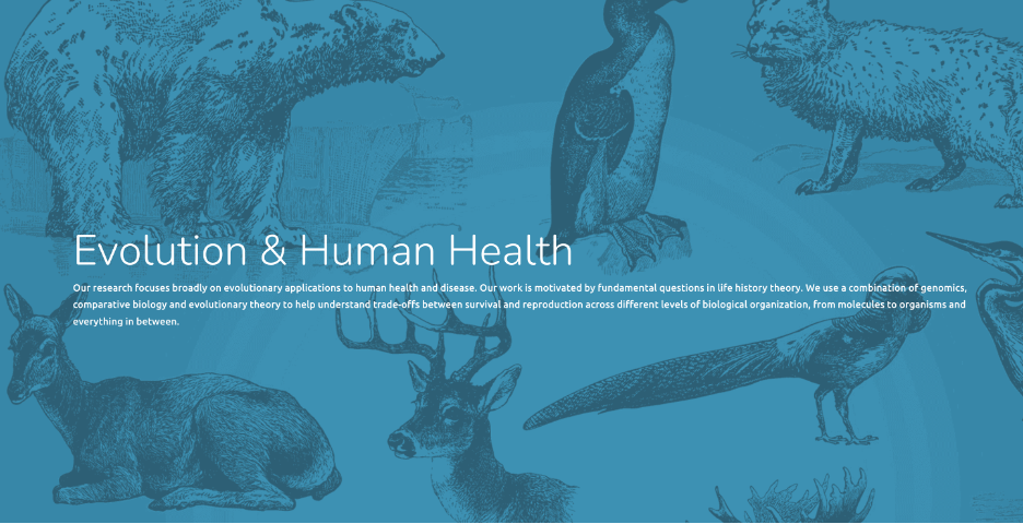 Placental Evolution